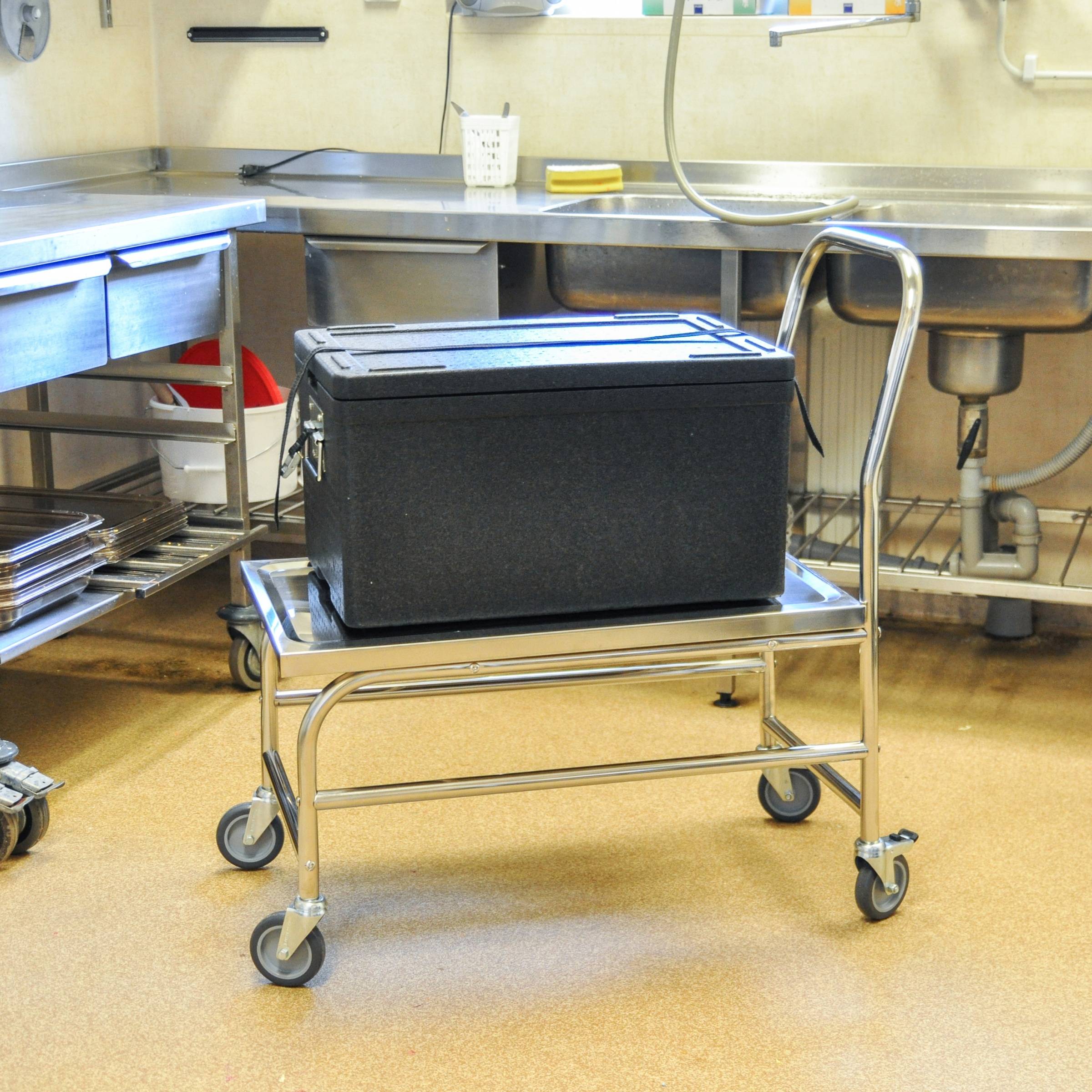 Kongamek Edelstahl- Plattformwagen komplett rostfrei mit Schiebegriff und Bremse 760x440mm Ladefläc