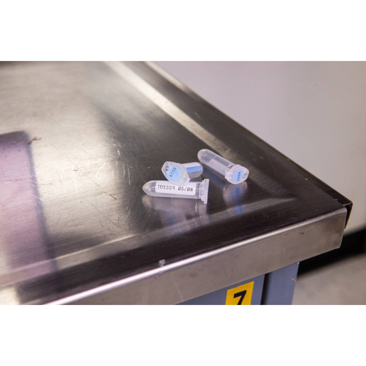 Etiketten aus Polyester, 25,4 mm x 12,70 mm, blau/weiß, Brady M5-120-494-BL