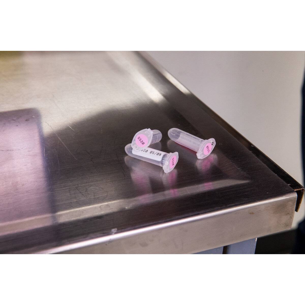 Etiketten aus Polyester, 25,4 mm x 12,70 mm, pink/weiß, Brady M5-120-494-PK