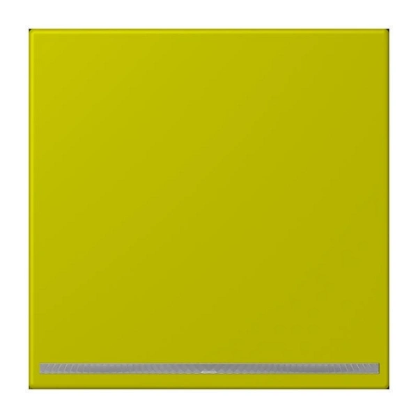 Jung LED-Orientierungslicht LC 1539-OO LNW 249 Jung LED-Orientierungslicht LC 1539-OO LNW 249