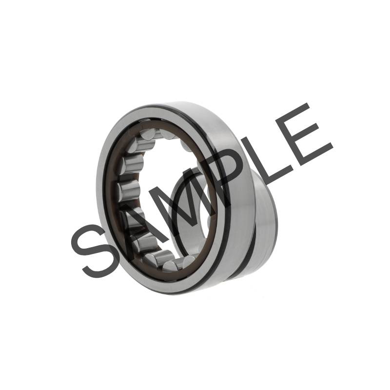 INA ZYLINDERROLLENLAGER SL045019-D-PP-2NR