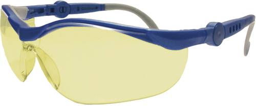 L+D 26751 Schutzbrille Blau, Grau DIN EN 166-1