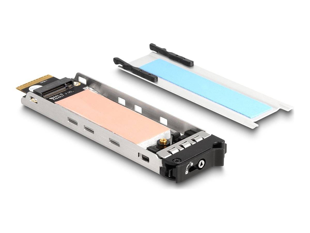 DELOCK Wechselrahmen Einschub 1 x M.2 NMVe SSD