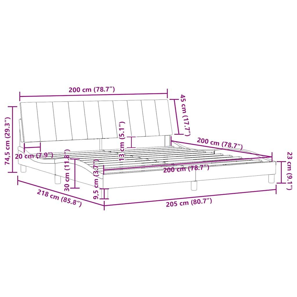 vidaXL Bettgestell ohne Matratze Schwarz 200x200 cm Samt