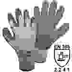 Showa 451 THERMO 14904-10 Polyacryl Arbeitshandschuh Größe (Handschuhe): 10, XL EN 388 CAT II 1 Paar