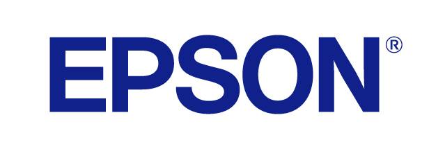 Epson Singlepack Cyan 250XL ink