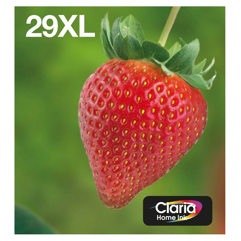 Epson 29XL Multipack - 4er-Pack - XL - Schwarz, Gelb, Cyan, Magenta - Original -