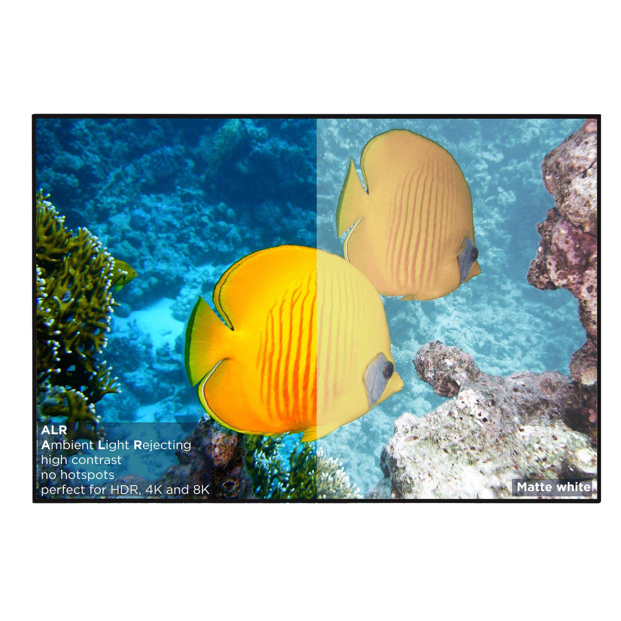 celexon HomeCinema Hochkontrastleinwand Frame 220 x 124 cm, 100" - Dynamic Slate ALR