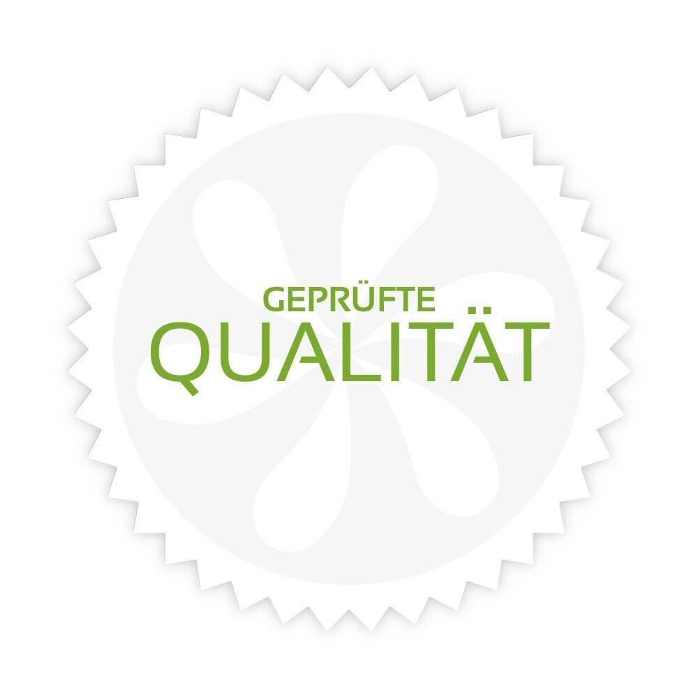 SLV ALTRA DICE 152320 Hochvolt-Schienensystem-Leuchte GU10 Schwarz