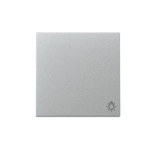 GIRA Wippe 328526 Symb.Licht Sys.55 F Alu (328526)