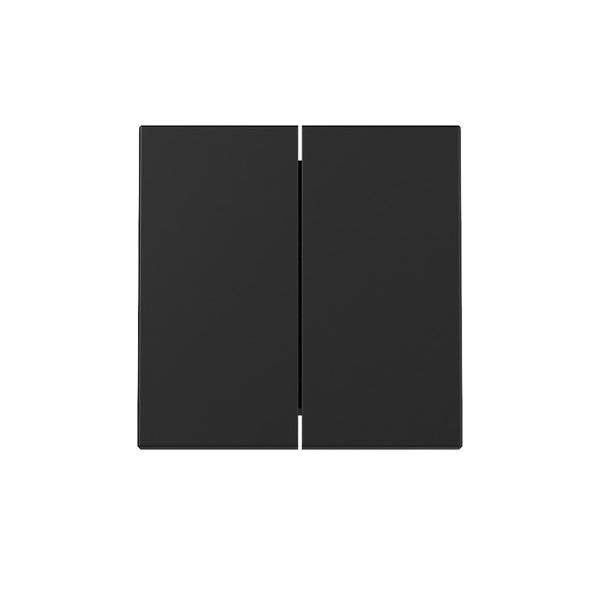 GIRA - 3295005 Wippe 2f Schwarz m