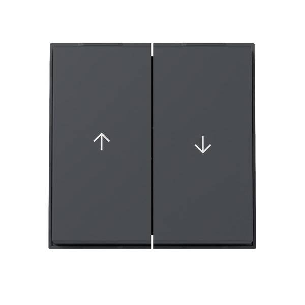 Gira Wippe 2f Pfeil 329467