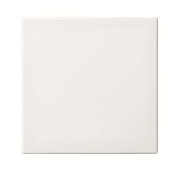 Busch-Jaeger BT-Bedienelement 1-fach 6735 BT-914