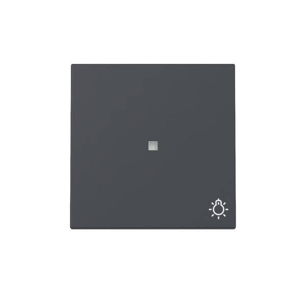 GIRA 367428 Wippe Kontrollf. + Symb. Licht System 55