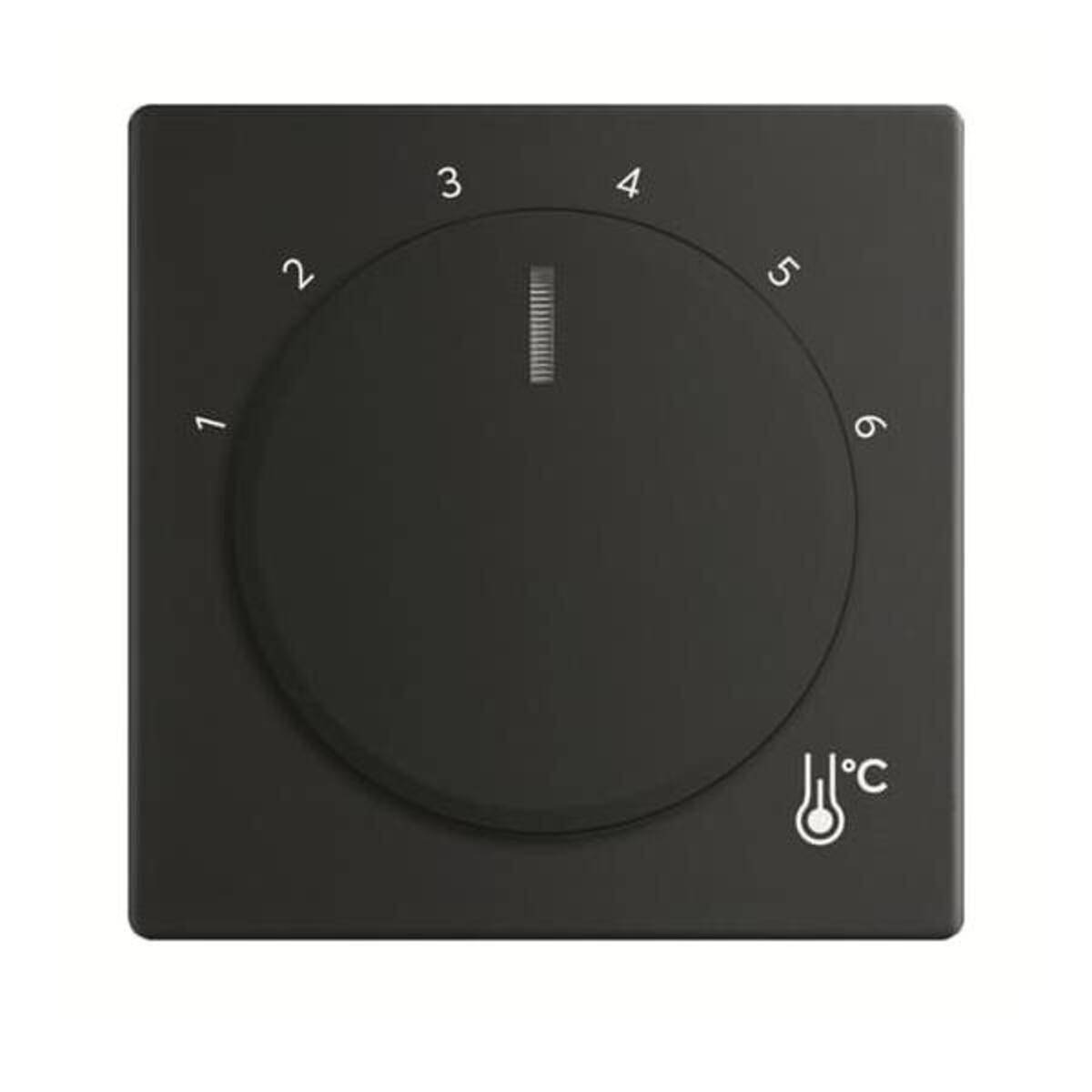 BJ Zentralscheibe Temperatur 1794R-885