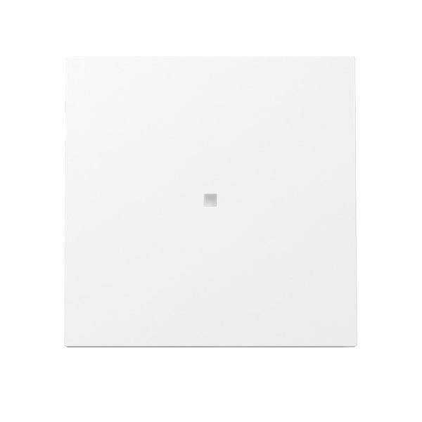 GIRA - 329070 Wippe Kontrollf. Flächenschalter Reinweiß