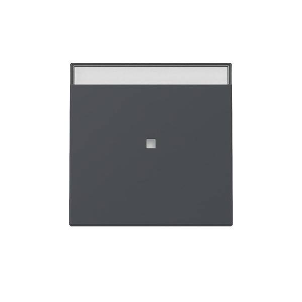 Gira Wippe Kontrollf. 367028