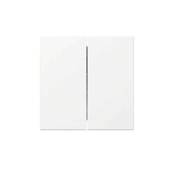 GIRA Wippe 349527 2f gerade Sys.55 rws m (349527)