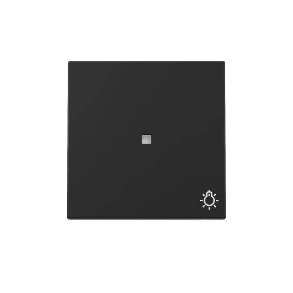 GIRA Wippe Kontrollf. + Symb. 3674005 Licht System 55 Schwarz m