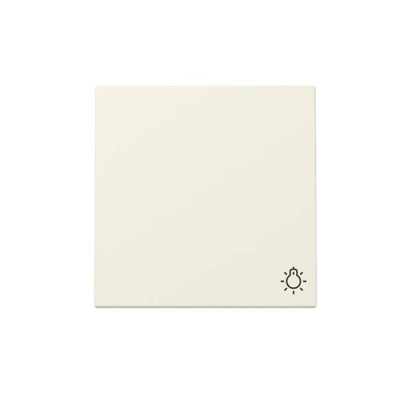 GIRA Wippe 328501 Symb.Licht Sys.55 cws