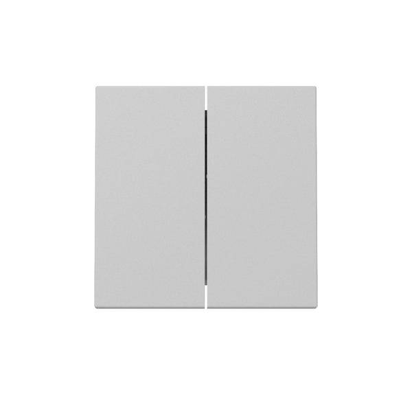 Gira Wippe 2f 3295015 grau Kunststoff
