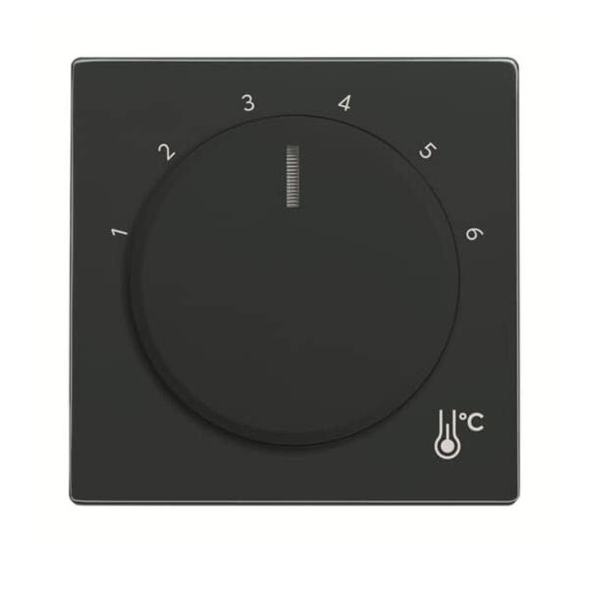 BJ Zentralscheibe Temperatur 1794 R-81 rund