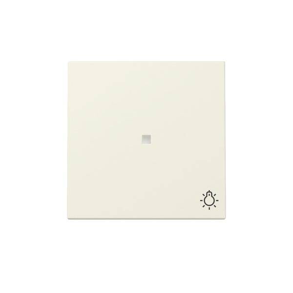 GIRA Wippe 367401 Kontrollf.+Symb.Licht Sys.55 cws