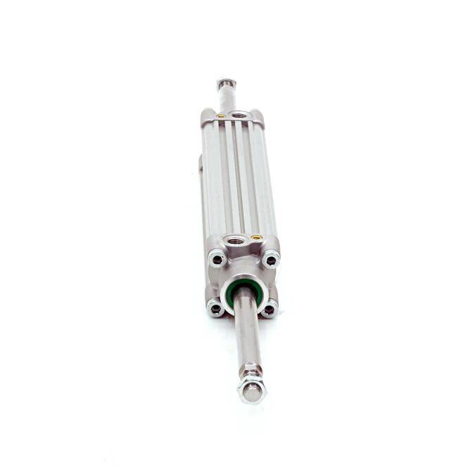 AVENTICS Profilzylinder PRA-DA-040-0200-0-2-2-3-1-1-BA (R480041438)
