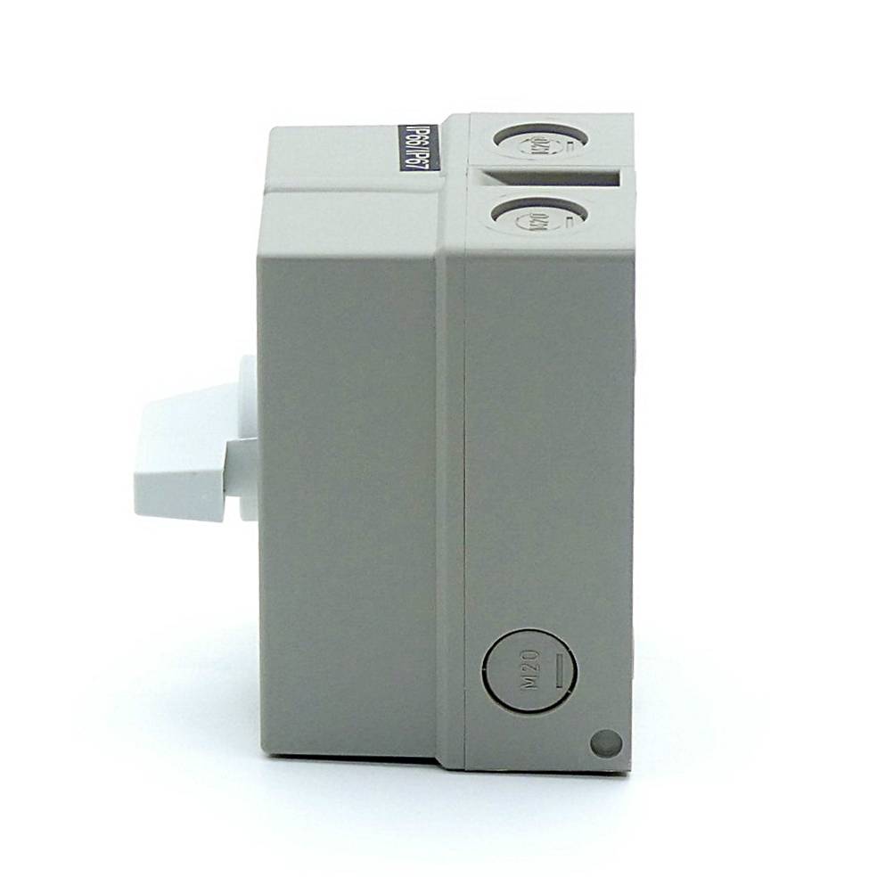KRAUS &amp; NAIMER Steuerschalter CH11 A230 CS50 (F*D-062502)