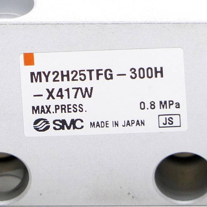 SMC Kolbenstangenloser Bandzylinder (MY2H25TFG-300H-X417W)