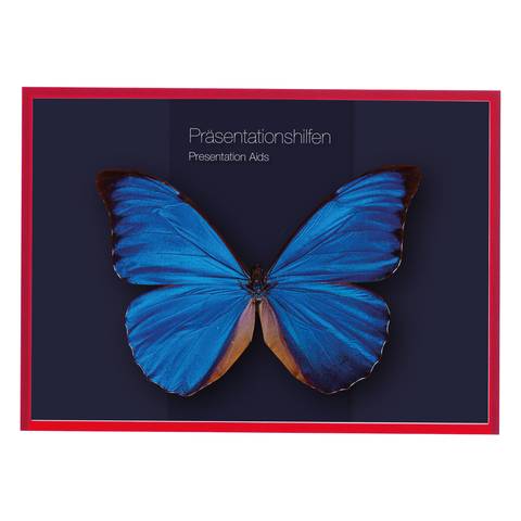 Magnetofix Sichtfenster blau DIN A3 5St