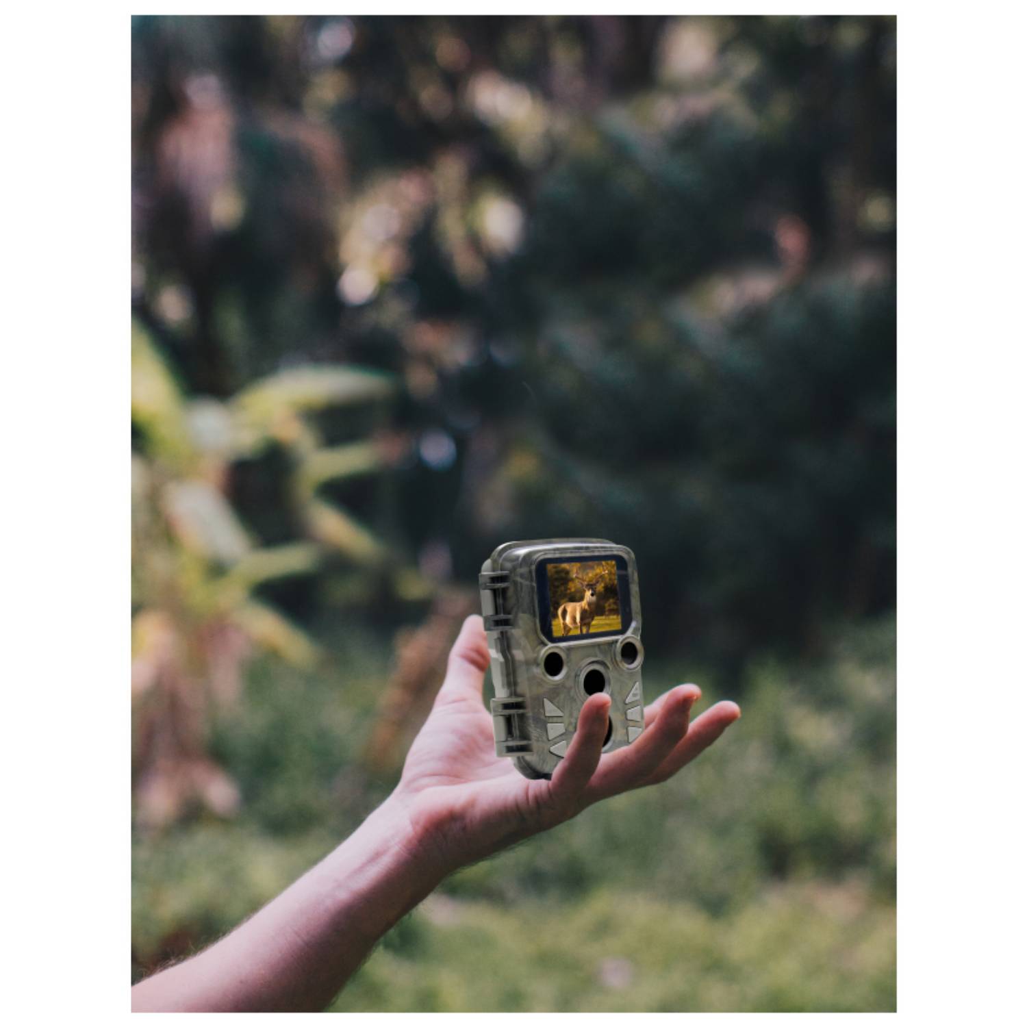 BRAUN PHOTO Scouting Cam Black800 mini - 8 MP - CMOS - 3840 x 2160 Pixel - 60 fps - AVI - 1280 x 720 (HD 7