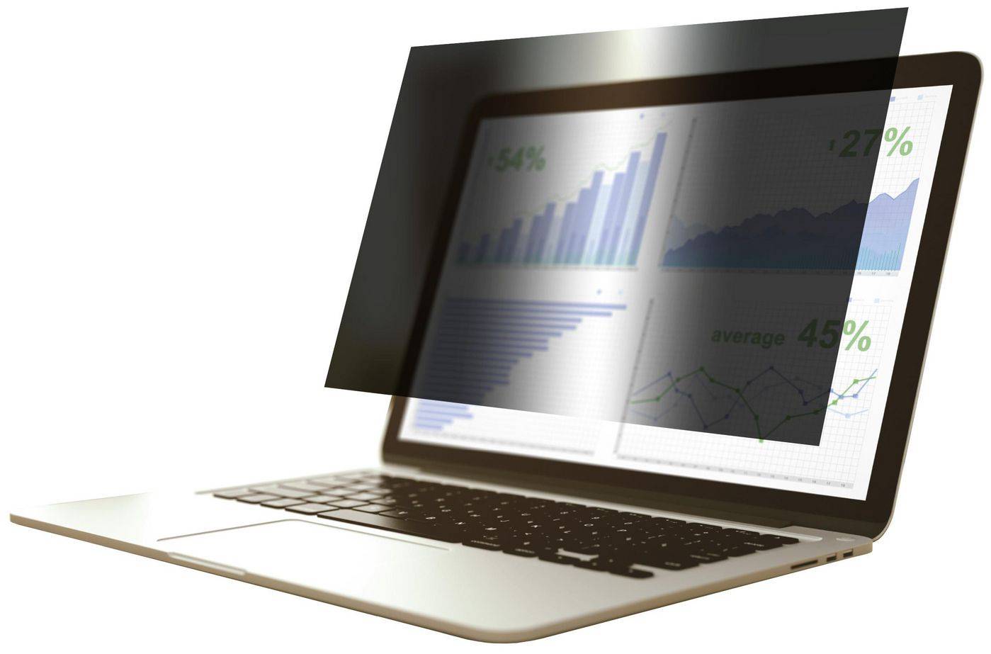 eSTUFF Blickschutzfilter für Notebook - 2-Wege - entfernbar - Klebstoff, Scharnierlaschen - 40.6 cm (16")