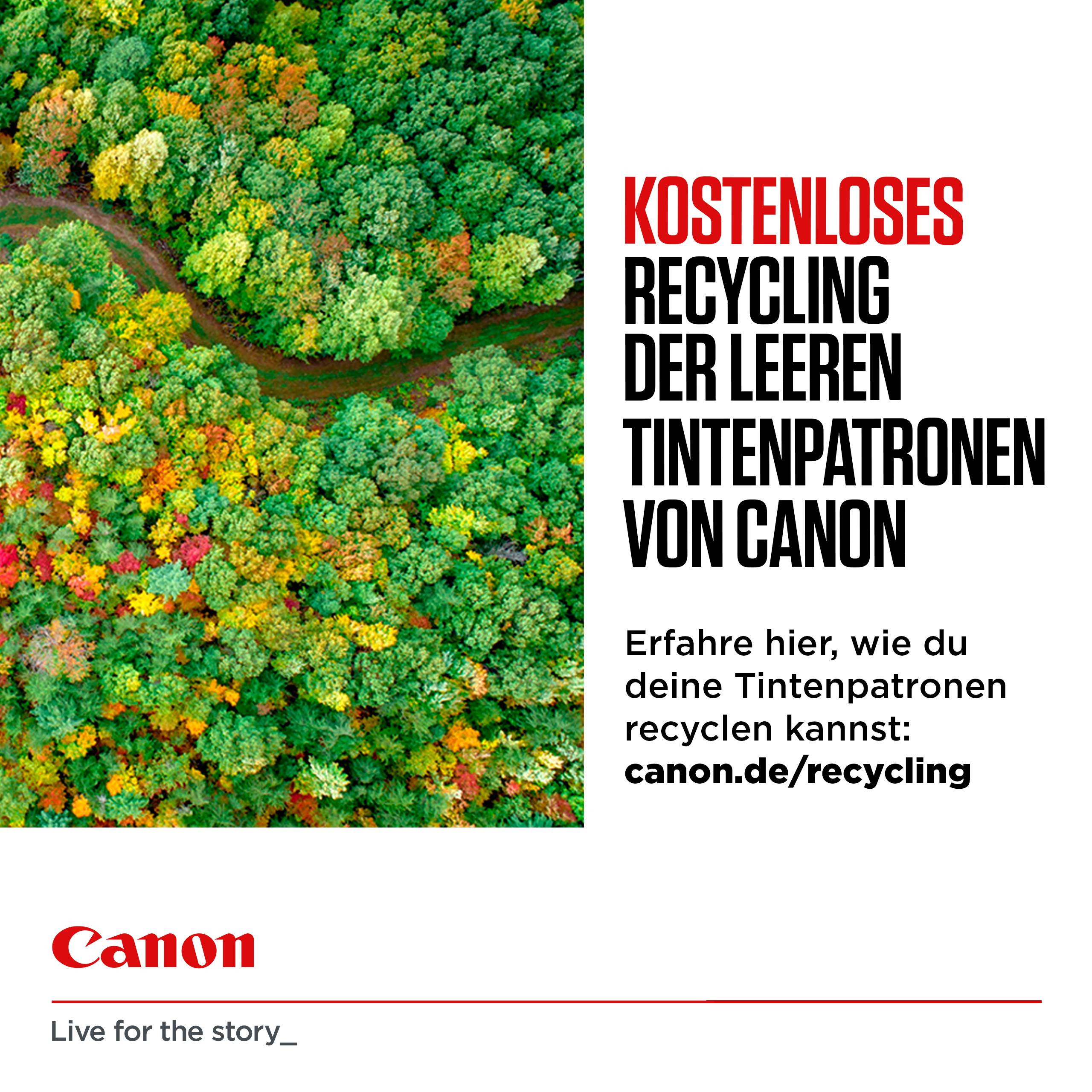 Canon PG-545 XL/CL-546XL Photo Value Pack - Glänzend - 2er-Pack - Hohe Ergiebigkeit - Schwarz, Farbe (Cyan, Magenta,
