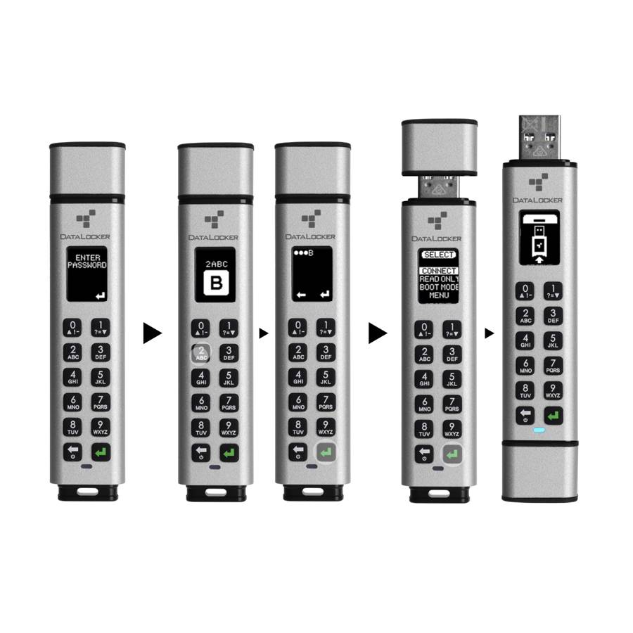 Origin Storage Sentry K350 Fips Secure Usb 3.1 - USB-Stick - 64 GB - 3.0