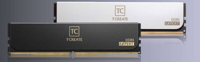 T-CREATE EXPERT OC10L - DDR5 - Kit - 32 GB: 2 x 16 GB