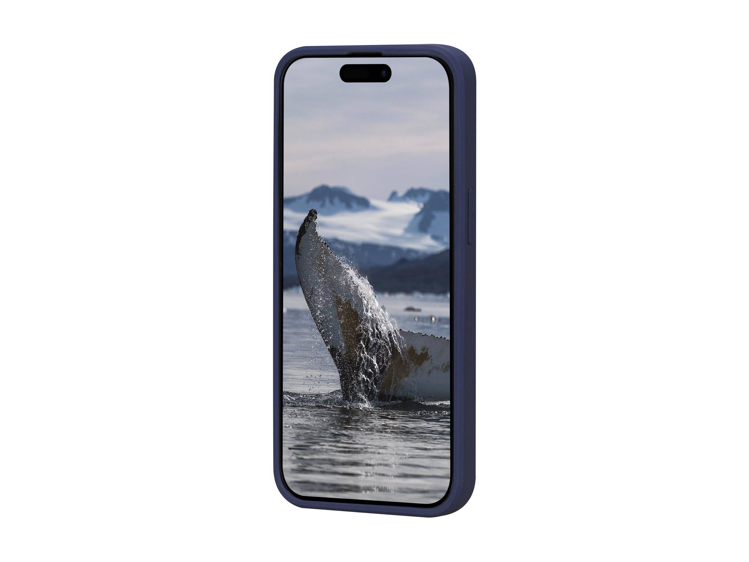 dbramante1928 Greenland - Back cover for mobile phone