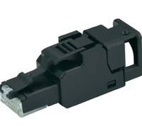 Telegärtner 100023051 RJ45-Stecker, feldkonfektionierbar 100023051 Stecker, gerade 1 St.