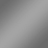 Plottix SpeedFlex Metallic Aufbügelfolie silber Flex-Folie 32.0 x 50.0 cm 1 - Au