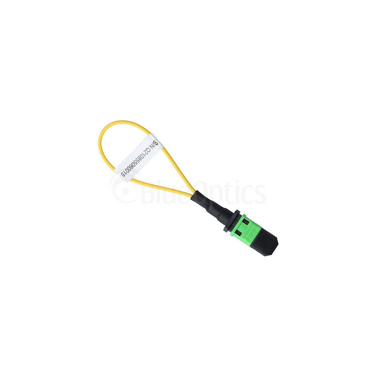 BlueOptics Loopback Adapter MPO/MTP Singlemode SM
