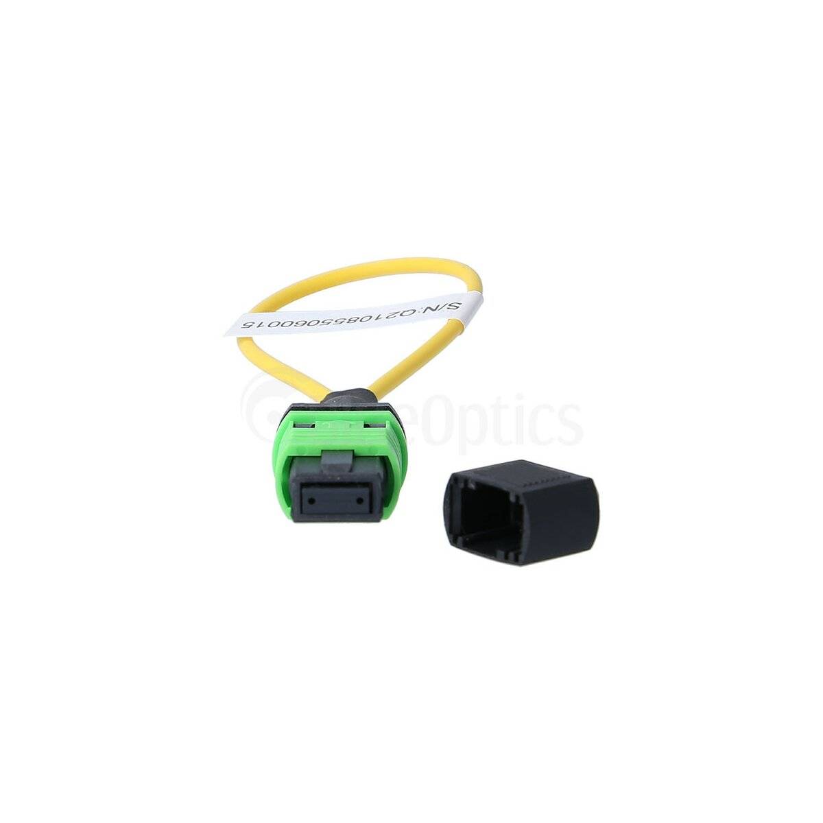 BlueOptics Loopback Adapter MPO/MTP Singlemode SM