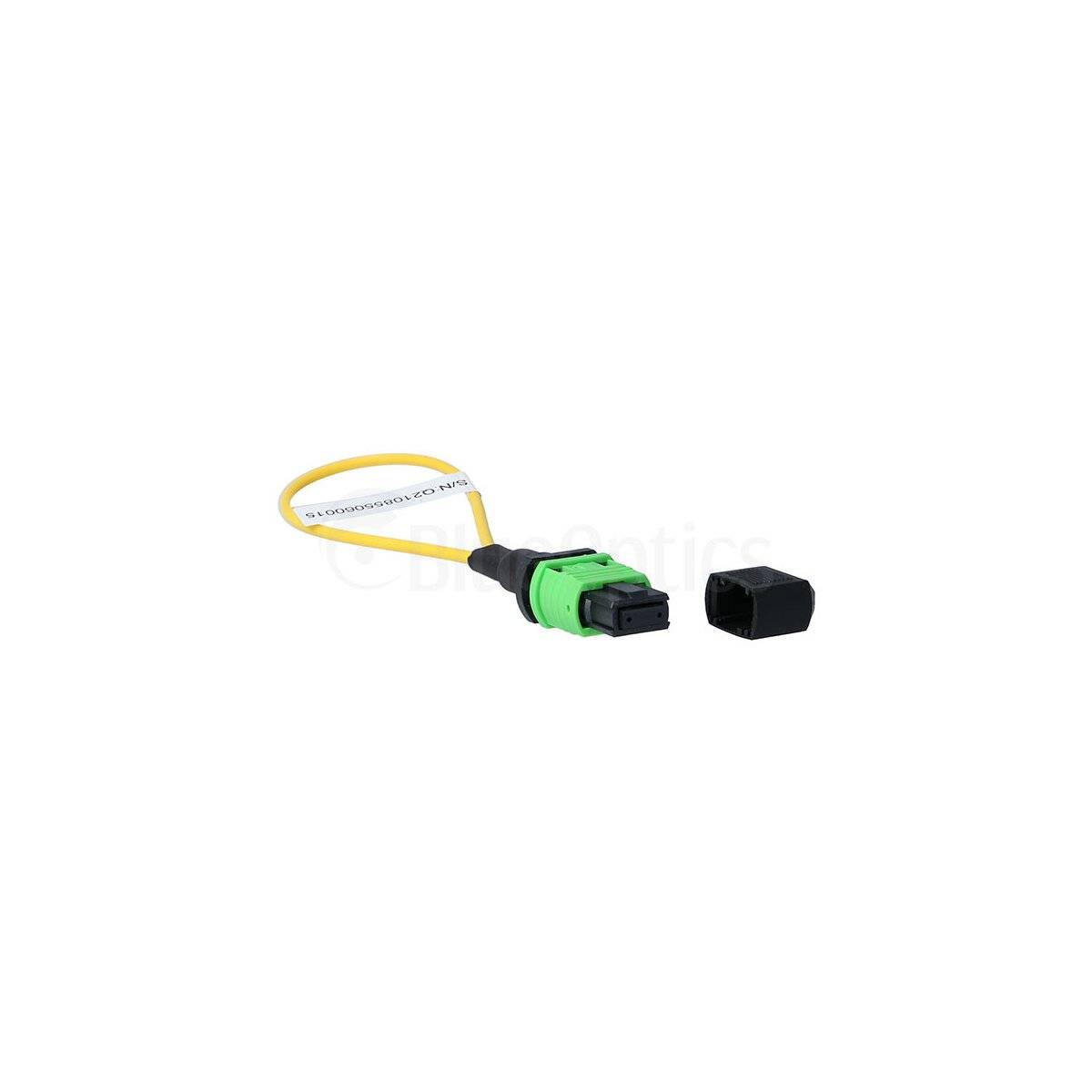 BLUEOPTICS - Loopback Adapter MPO/MTP Singlemode SM