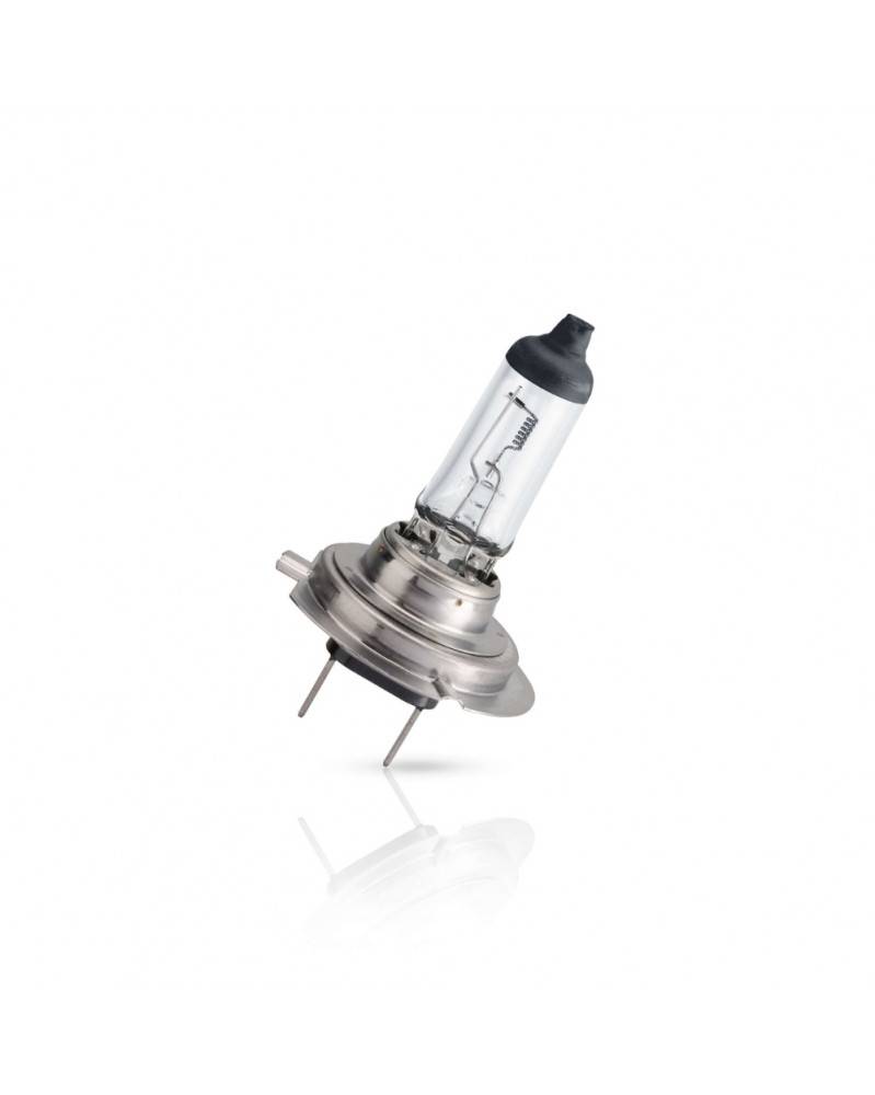 PHILIPS Master Duty H7 24V 70W PX26d 13972MDC1