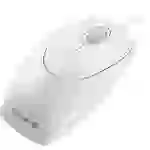 Cherry Wheelmouse Maus USB Optisch Hellgrau 3 Tasten 1000 dpi Cherry Wheelmouse Maus USB Optisch Hellgrau 3 Tasten 1000 dpi