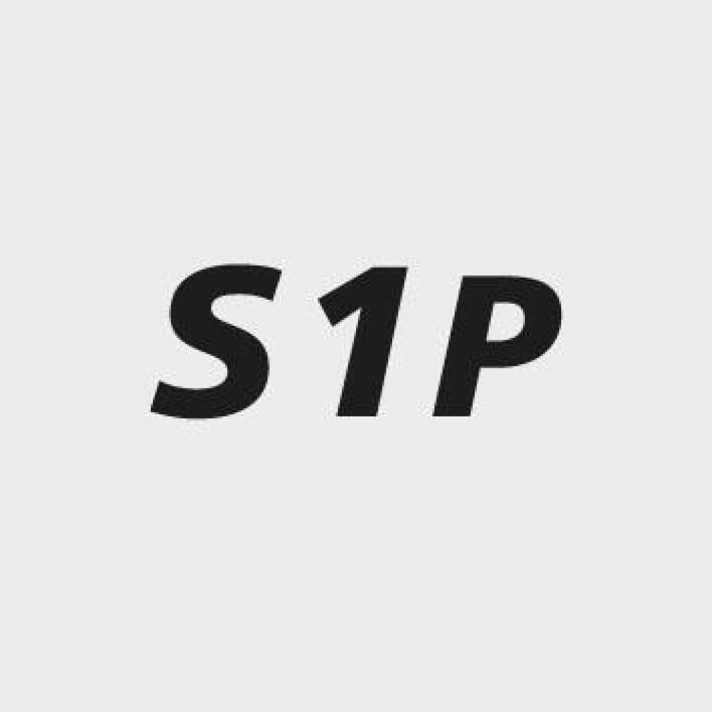 STEITZ SICHERHEITSSANDALE VD PRO 1000 S1P GR. 38 - NORMALE WEITE ARBEITSSANDALE, STEITZ SECURA