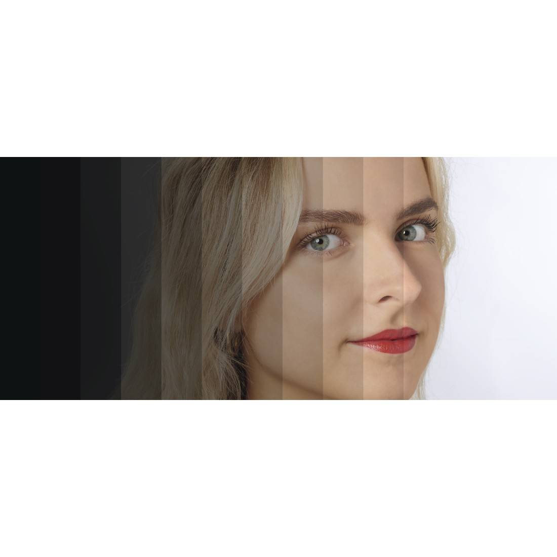 hama 00004658 LED-Ringleuchte "SpotLight FoldUp 102 II", Set für Smartphones, faltbar