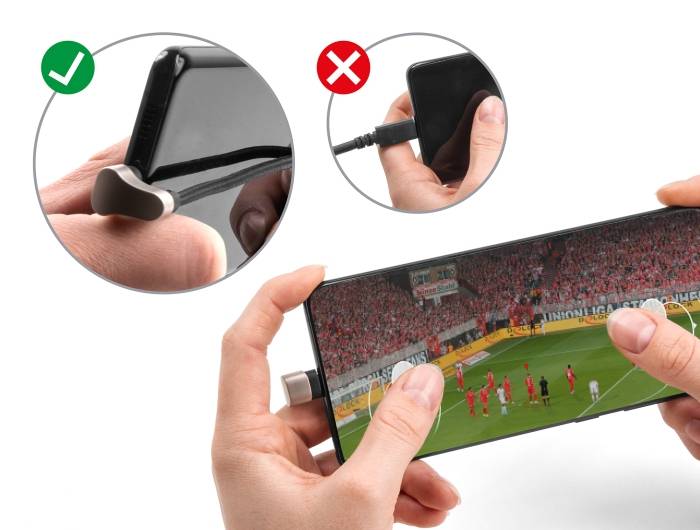 Delock Lightning-Kabel - Lightning männlich gewinkelt zu 24 pin USB-C männlich