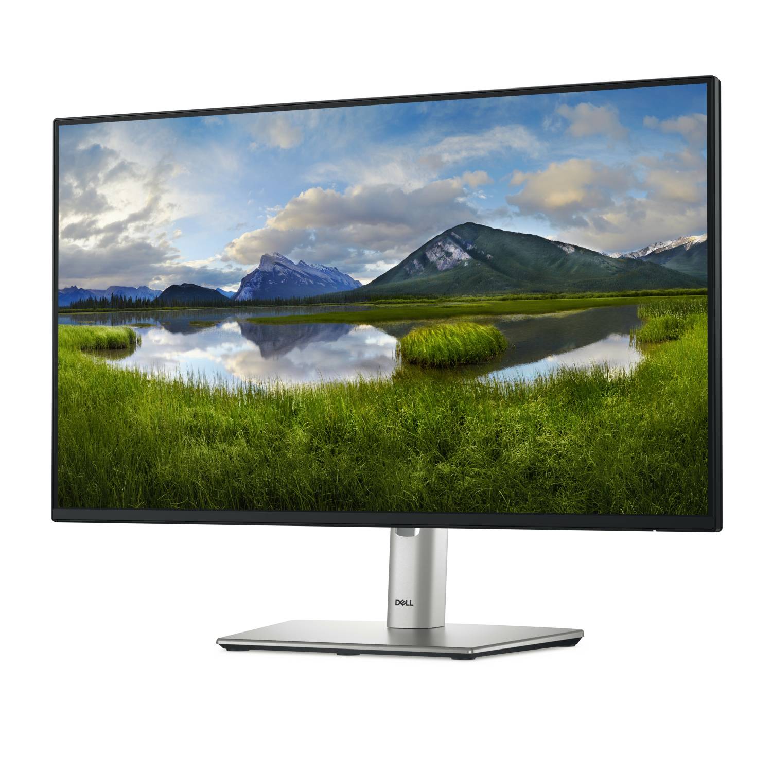 P Series P2425H Computer