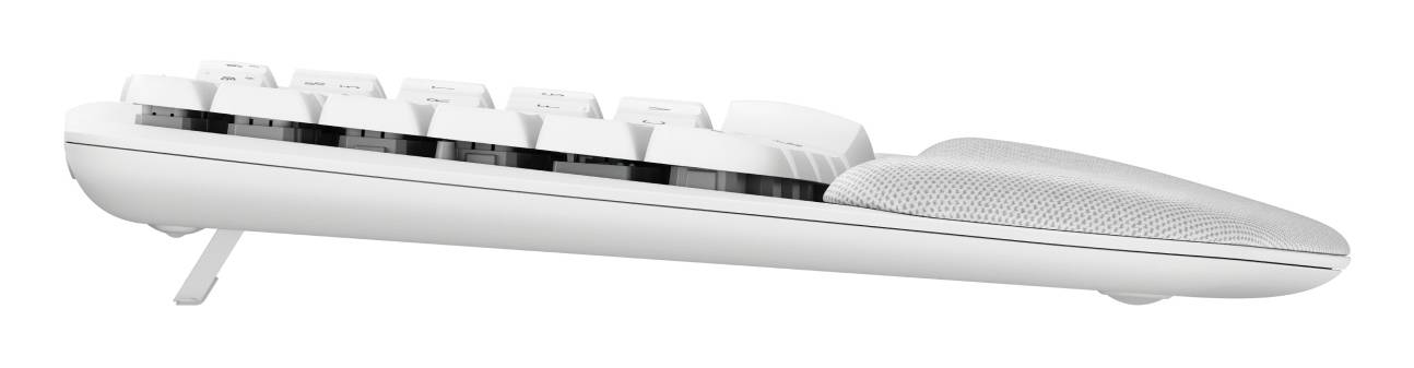 Logitech Wave Keys, Volle Größe (100%), Kabellos, RF Wireless + Bluetooth, Membran Key Switch, QWERT