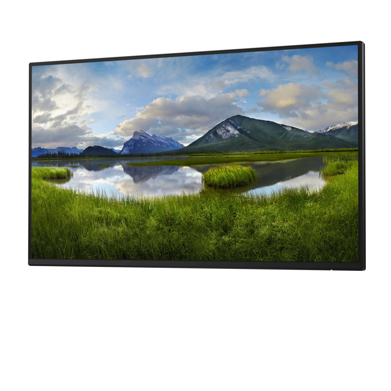 DELL P2425HWO Monitor 61,0 cm (24,0 Zoll) schwarz